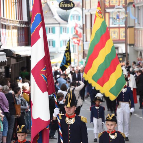 Landsgemeinde 030. Vergrösserte Ansicht