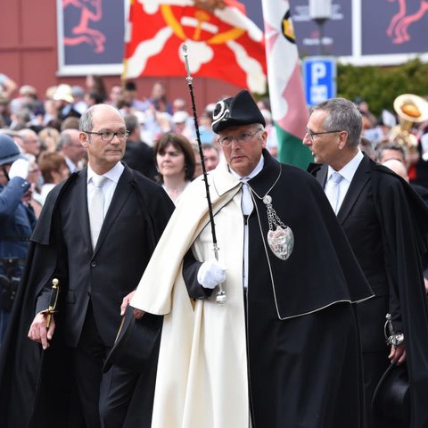 Landsgemeinde 034. Vergrösserte Ansicht