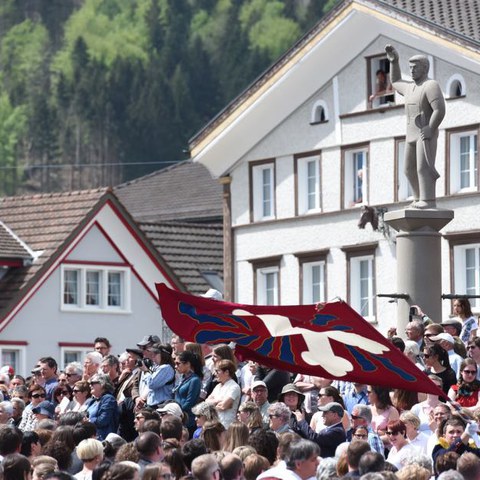 Landsgemeinde 035. Vergrösserte Ansicht