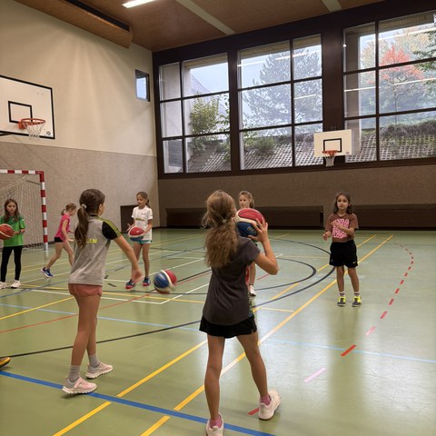 Basketball (12).JPEG. Vergrösserte Ansicht