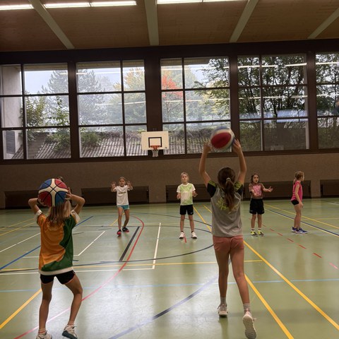 Basketball (15).JPEG. Vergrösserte Ansicht