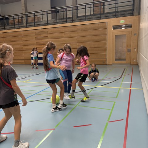 Fussball (33).JPEG. Vergrösserte Ansicht