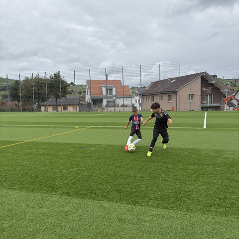 Fussball (8).JPEG. Vergrösserte Ansicht