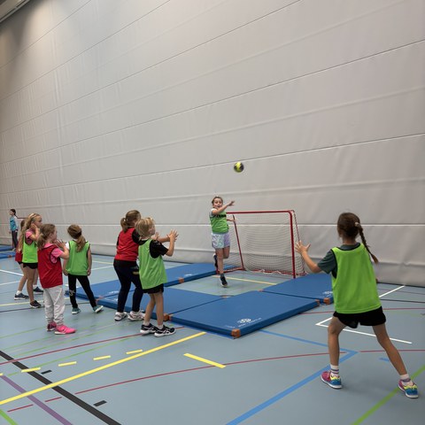 Handball (24).JPEG. Vergrösserte Ansicht