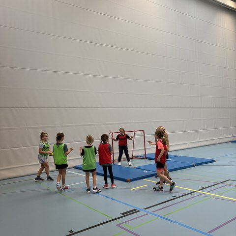 Handball (25).JPEG. Vergrösserte Ansicht