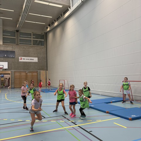 Handball (28).JPEG. Vergrösserte Ansicht