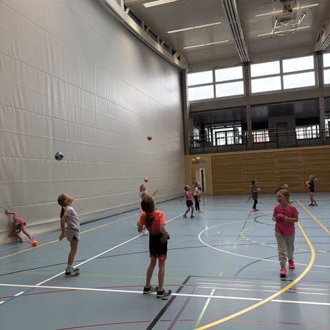 Handball (3).JPEG. Vergrösserte Ansicht