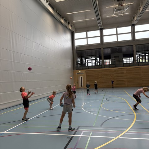 Handball (5).JPEG. Vergrösserte Ansicht