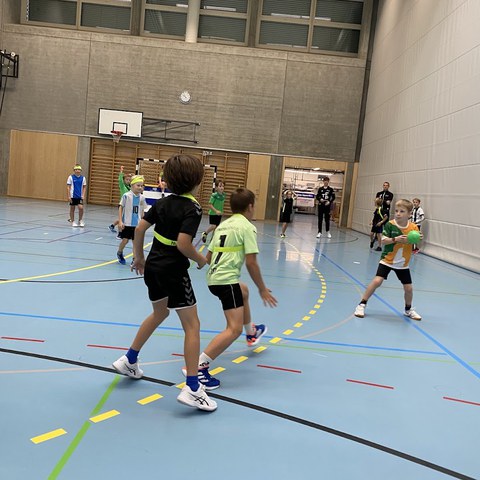 Handball.jpg. Vergrösserte Ansicht