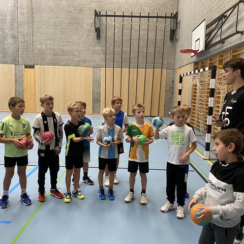 Handball_1911.jpg. Vergrösserte Ansicht