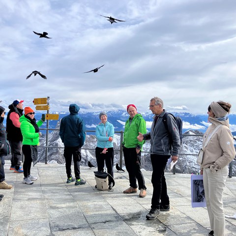 03_Säntis.jpg. Vergrösserte Ansicht