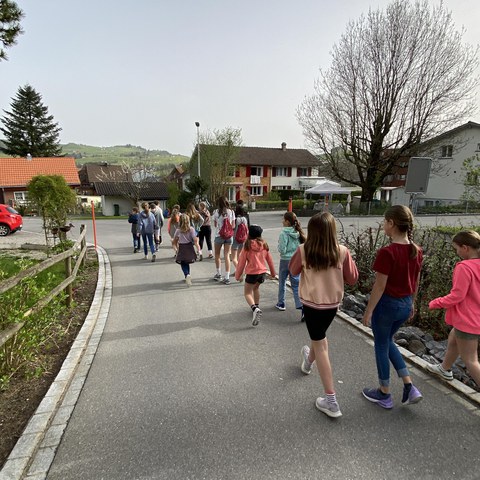 Bild-20240408-073348-421ada82.jpeg. Vergrösserte Ansicht