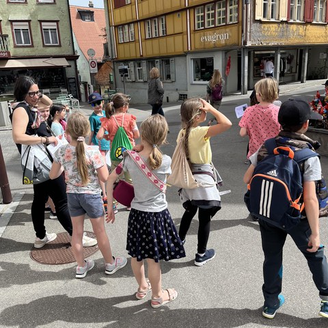 Bild-20240408-115903-8c30d673.jpeg. Vergrösserte Ansicht