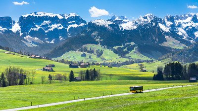 AI_Moeser_05-2017 (1).png