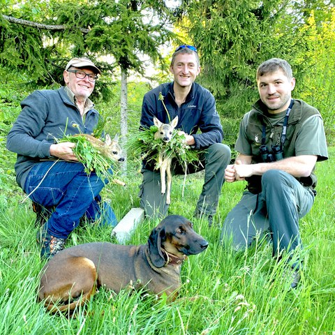 Bild 1 - Drei Jäger und zwei gefundene Rehkitze. Vergrösserte Ansicht