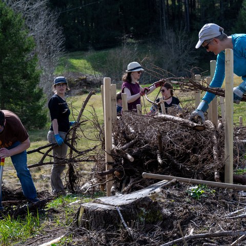 Bild 1: Aus dem Holzmaterial wurden Asthaufen und Totholzhecken gebaut. © Roger Eggenberger. Vergrösserte Ansicht