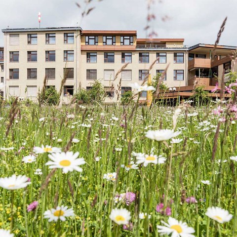 Spital. Vergrösserte Ansicht