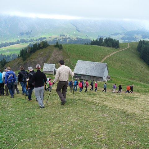 Die Gruppe beim Hinunterwandern vom Kronberg / Foto: Jasmin Ebneter. Vergrösserte Ansicht