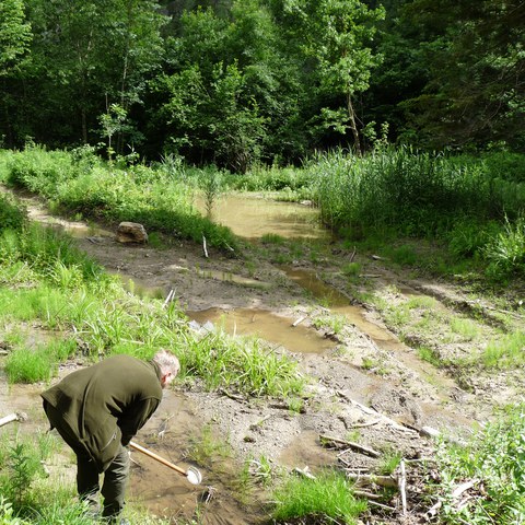 Im unteren Bereich wurden flache Pfützen geschaffen (Bild: Loredana Breitenmoser, Lernende LFD). Vergrösserte Ansicht