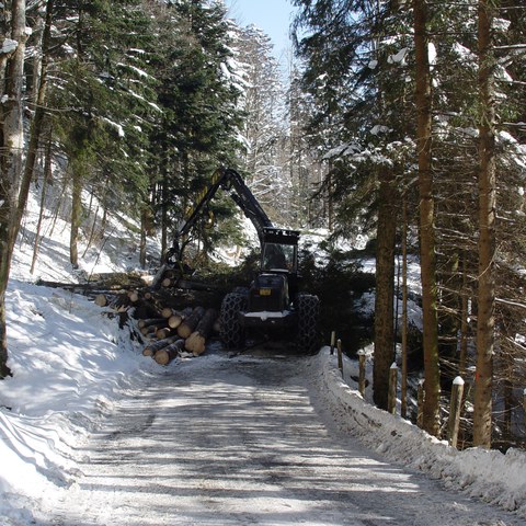 Eichbergstrasse 5. Vergrösserte Ansicht
