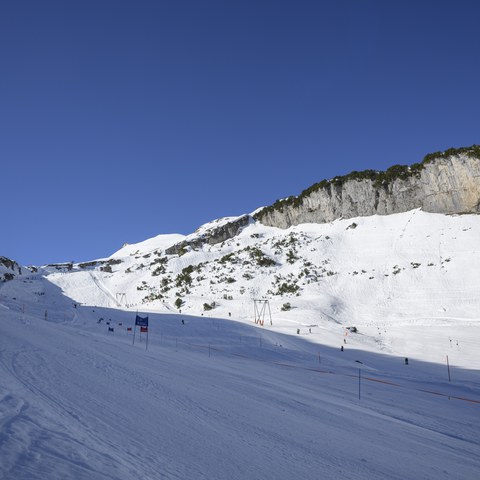 DSC_0939.jpg. Vergrösserte Ansicht