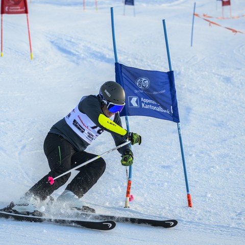 _RS87137.jpg. Vergrösserte Ansicht