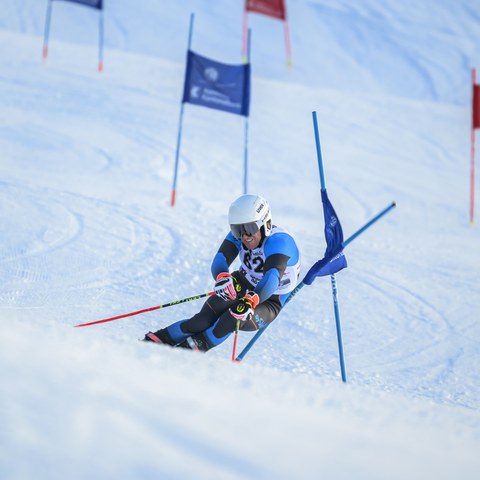 _RS87506.jpg. Vergrösserte Ansicht